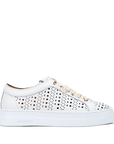 Stokton - See 122-D Bianco